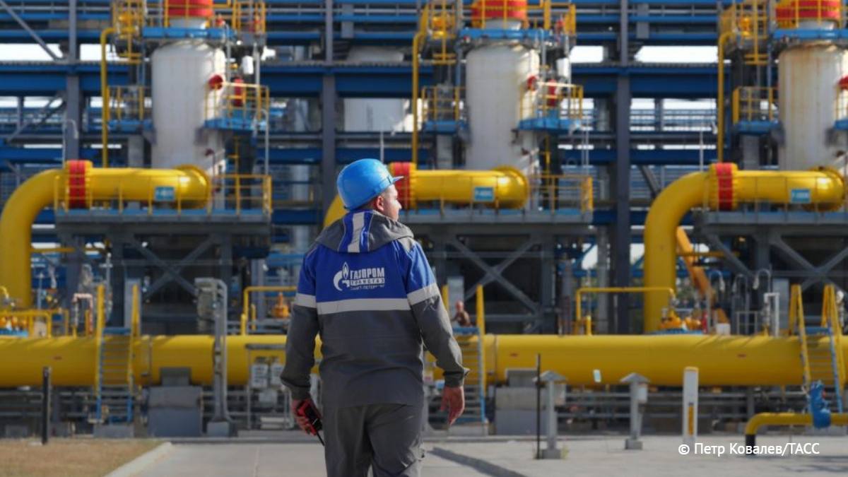 Татьяна 2/IMG_6474.jpeg